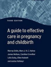 Image of A Guide to Effective Care in Pregnancy and Childbirth