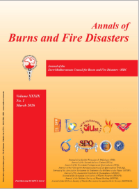 Image of Annals of Burns and Fire Disasters - MBC