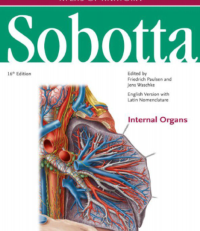 Image of Atlas Of Anatomy : Sobotta ( Internal Organs )