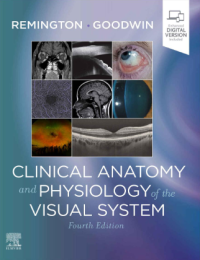 Image of Clinical Anatomy and Physiology of the Visual System