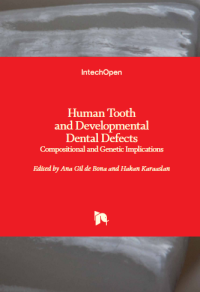 Image of Human Tooth and Developmental Dental Defects