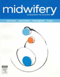 Image of Midwifery : Preparation Practice 2e