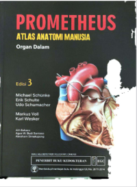 Image of Prometheus Atlas Anatomi Manusia : Organ Dalam