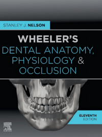 Image of Wheeler's :  Dental Anatomy, Physiology And Occlusion